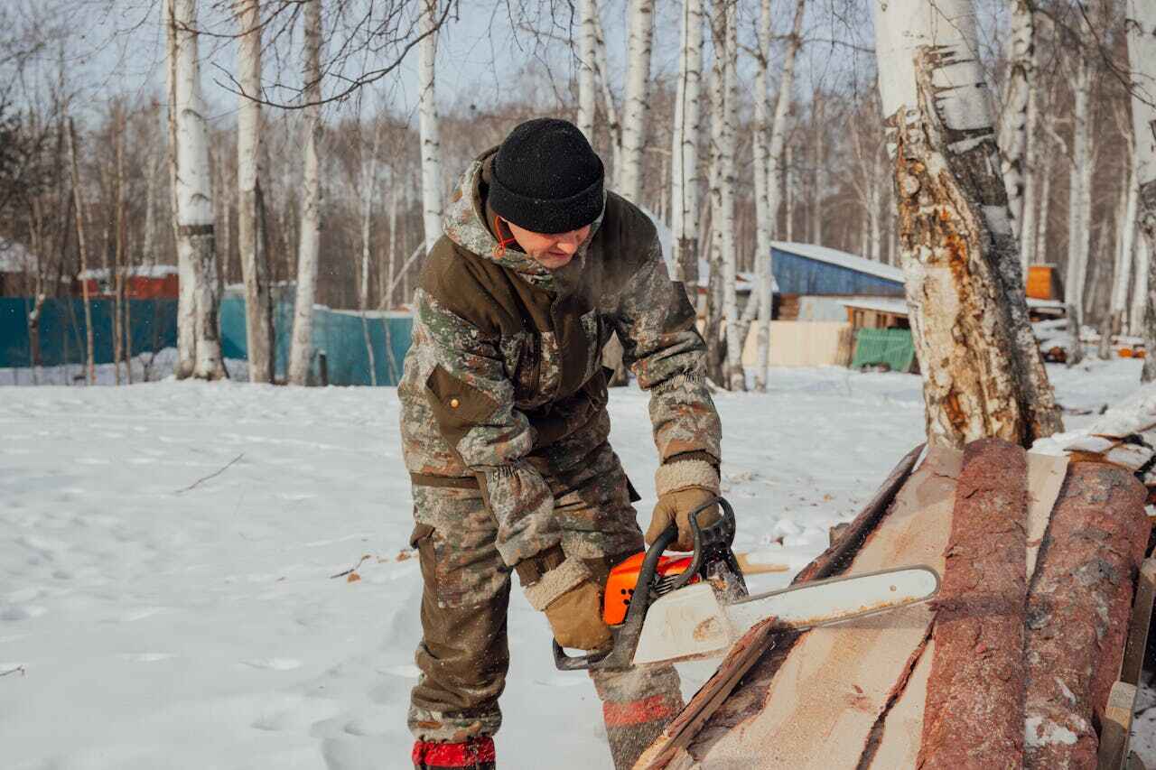 The Steps Involved in Our Tree Care Process in Indian Lake, TX